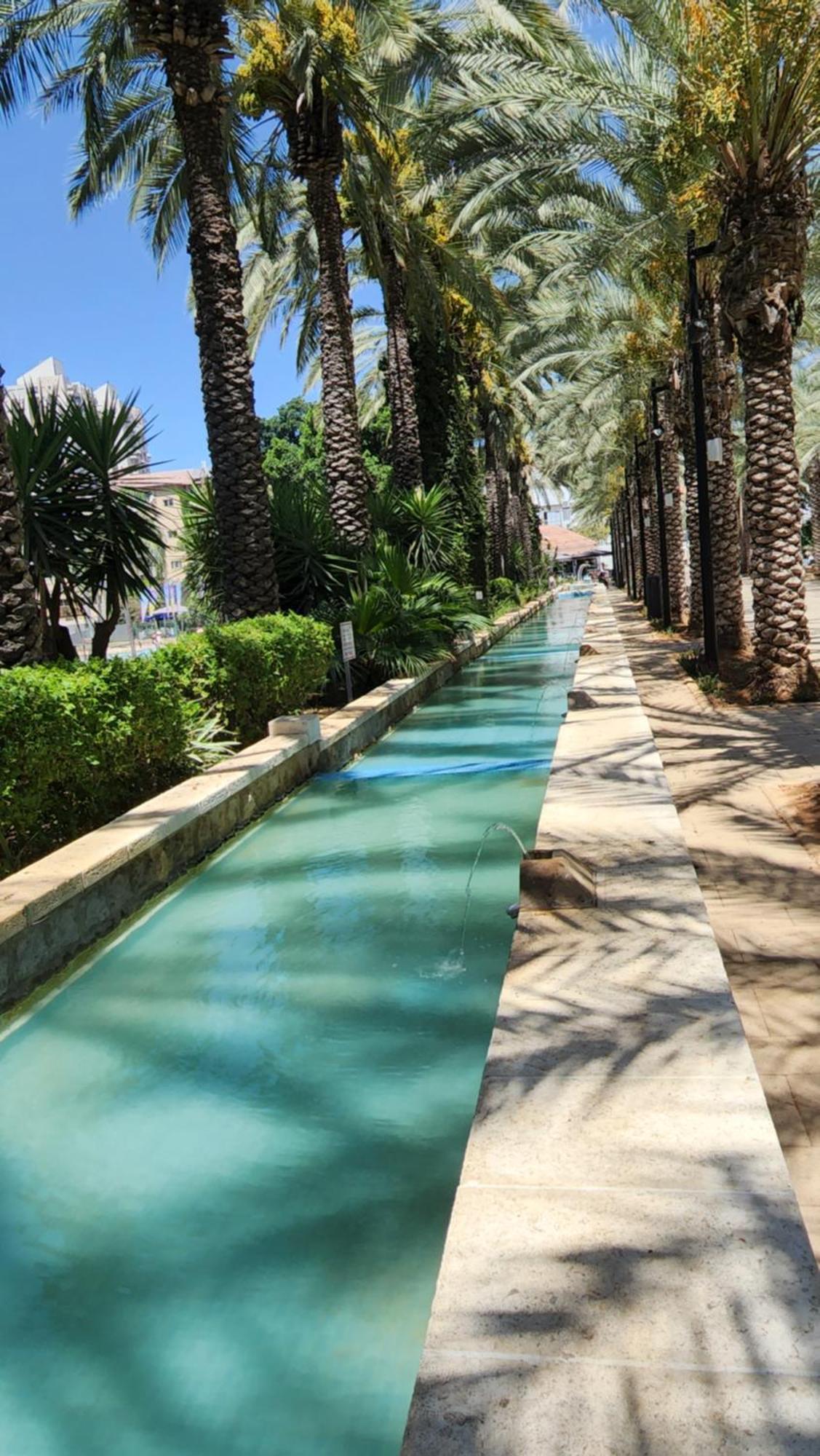 Appartement יחידת דיור à Rishon Leziyyon Chambre photo